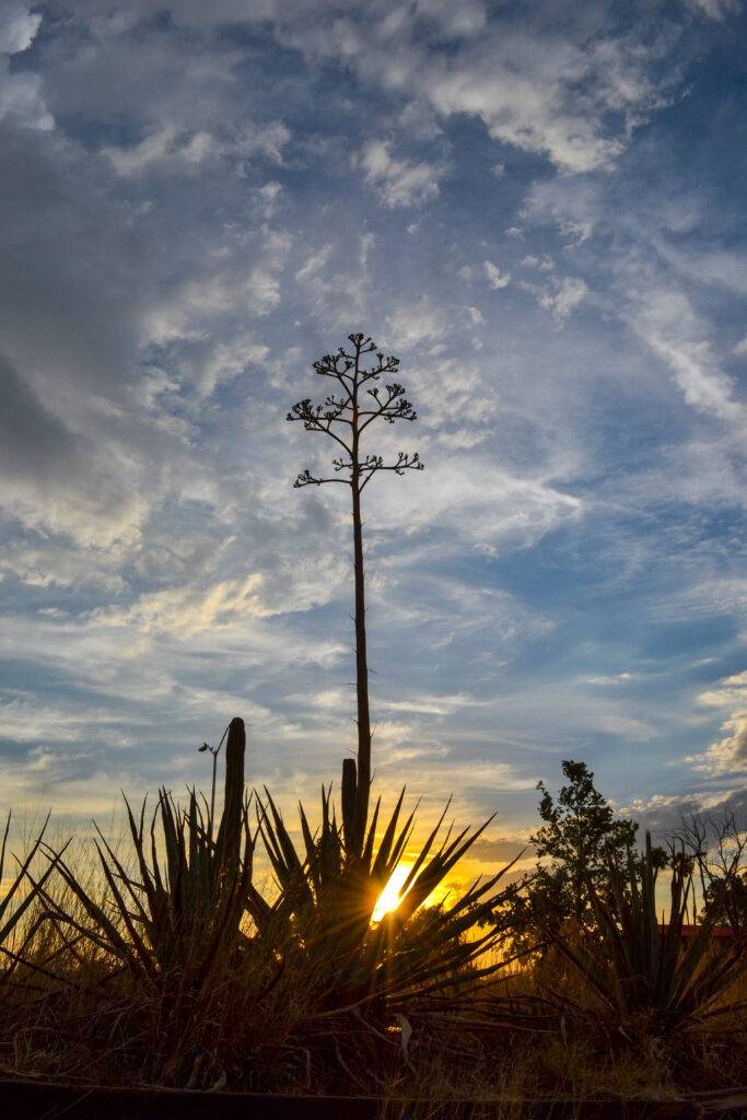 Durango-México_